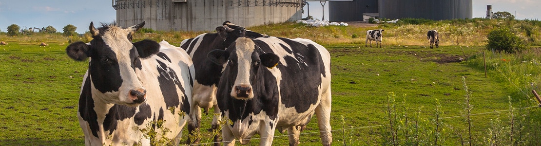 【カーボンニュートラル+廃棄コスト削減】バイオマス資源の活用事例をご紹介