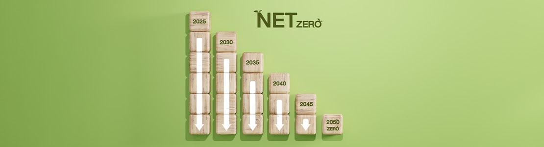 カーボンニュートラルロードマップのイメージ