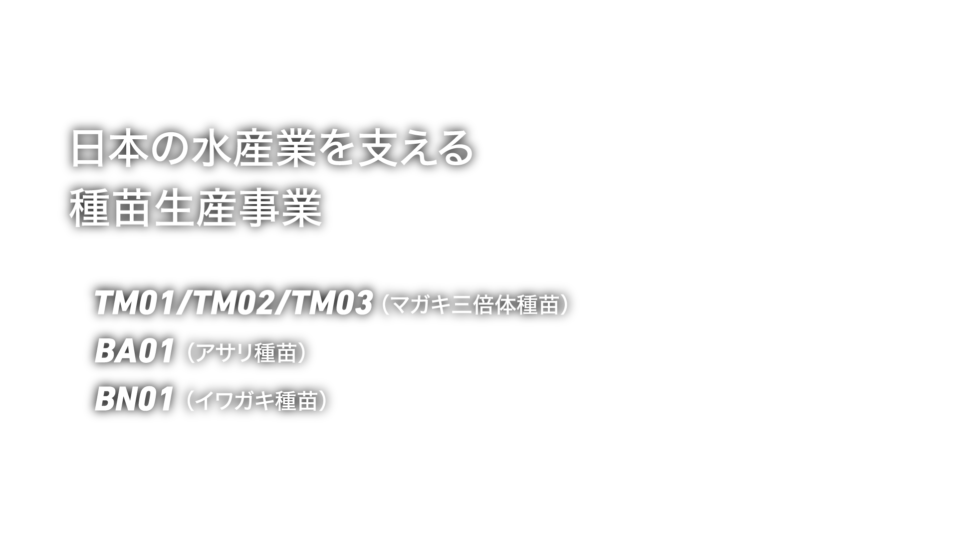 日本の水産業を支える種苗生産事業&emsp;TM01/TM02/TM03（マガキ三倍体種苗）&emsp;BA01（アサリ種苗）&emsp;BN01（イワガキ種苗）