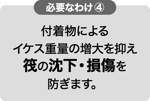 必要なわけ④ 付着物によるイケス重量の増大を抑え筏の沈下・損傷を防ぎます。