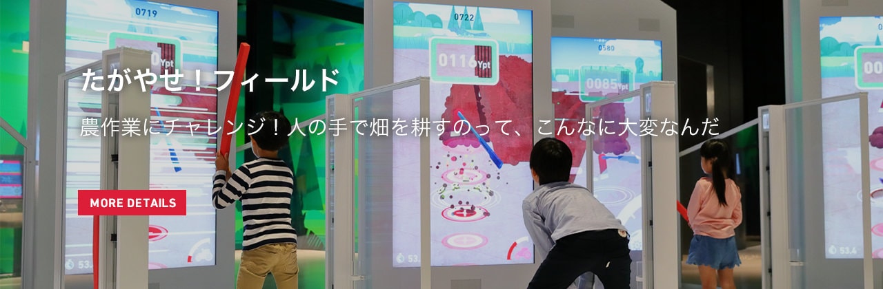 たがやせ！フィールド