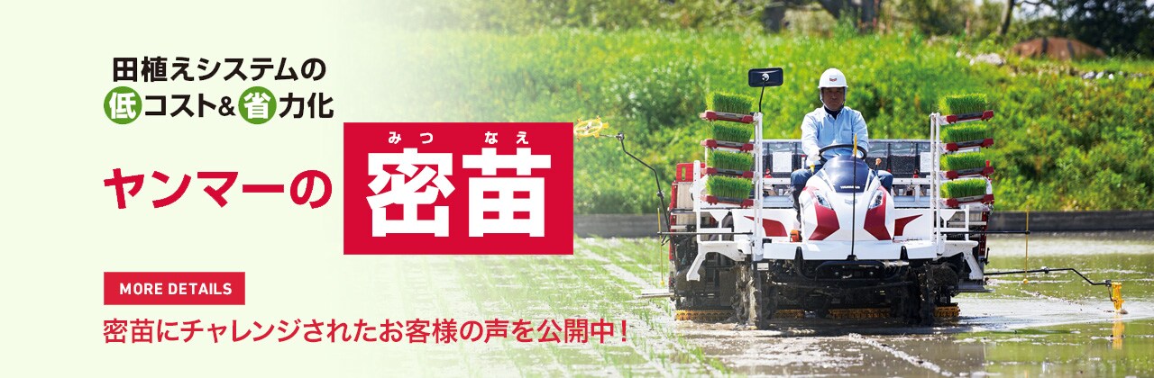 田植えシステムの低コスト&省電力化 ヤンマーの密苗 密苗にチャレンジされたお客様の声を公開中！