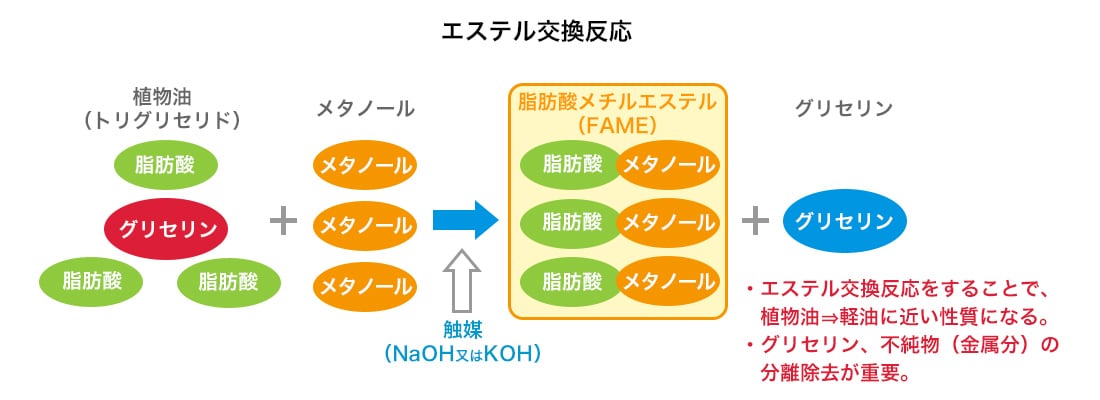 FAME（脂肪酸メチルエステル）