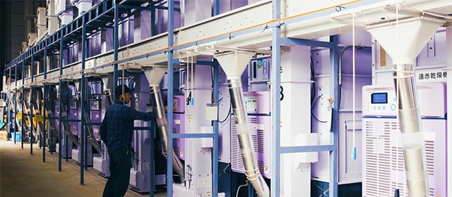 ライスセンターには、10台の乾燥機がずらりと並ぶ。約100ha分の処理がこの施設で行われている。
