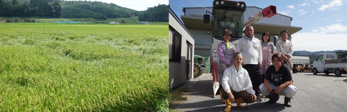 ほ場が広がるのどかな田園地帯。その一角に建てられた乾燥調製施設で、ご家族揃って作業に勤しまれている齋藤さんご一家。後列左から、パートの附柴幸子さん、ご主人の齋藤茂晴さん、奥様の多重子さん、そして齋藤さんとのお付き合いは20年以上になる安城支店の山田支店長。前列は、義理の息子さんである二村洋行さん(左)と白井宣幸さん(右)。