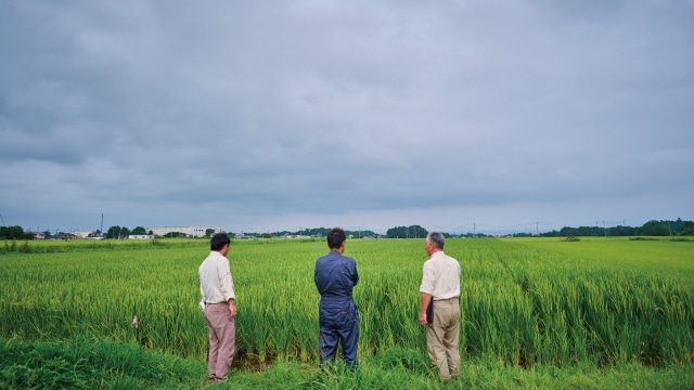 見事な稲の姿は密苗に取り組んだ3年間の集大成。