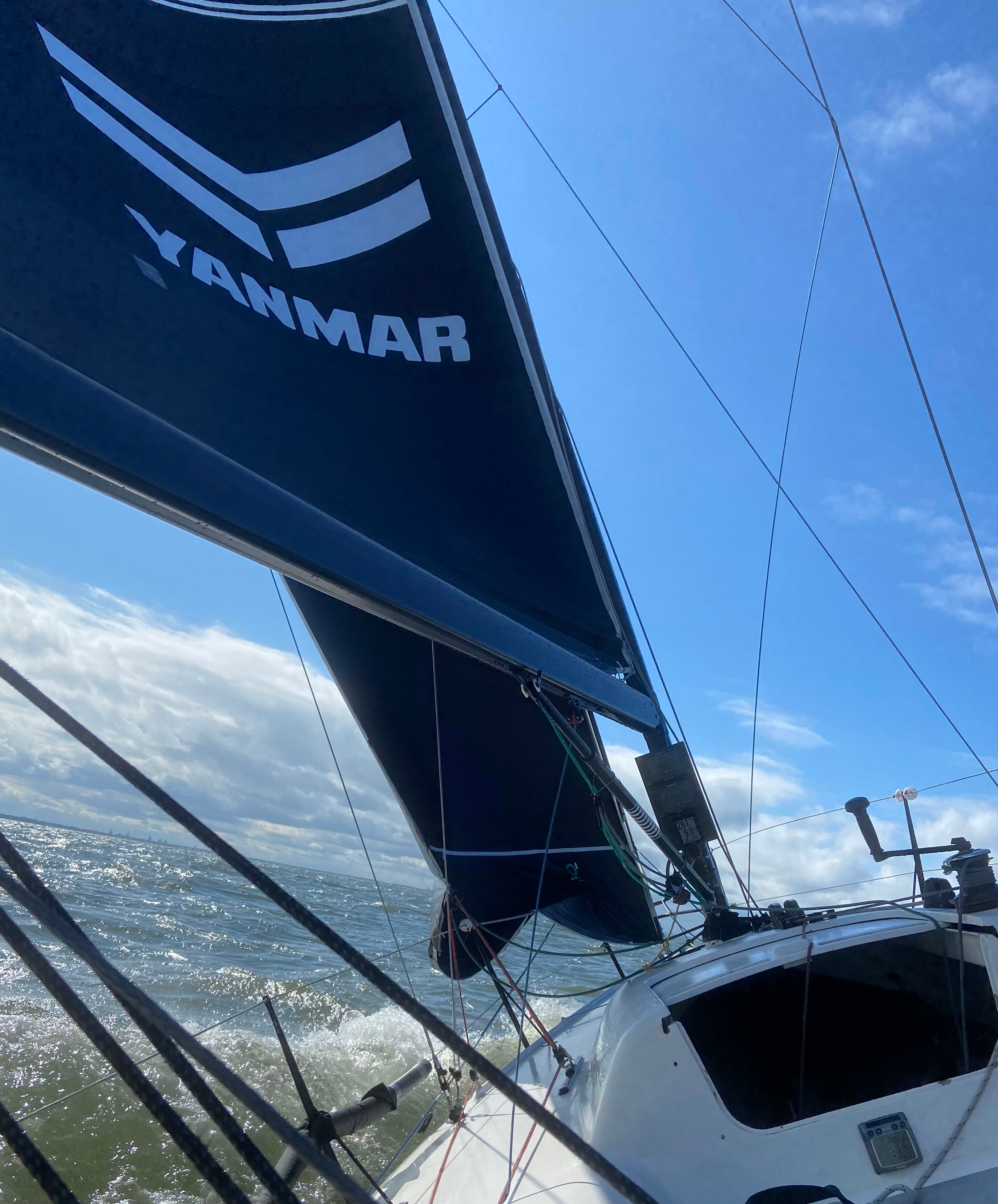 Joyride Sailing and Yanmar Look Back on Successful Season｜2024｜News