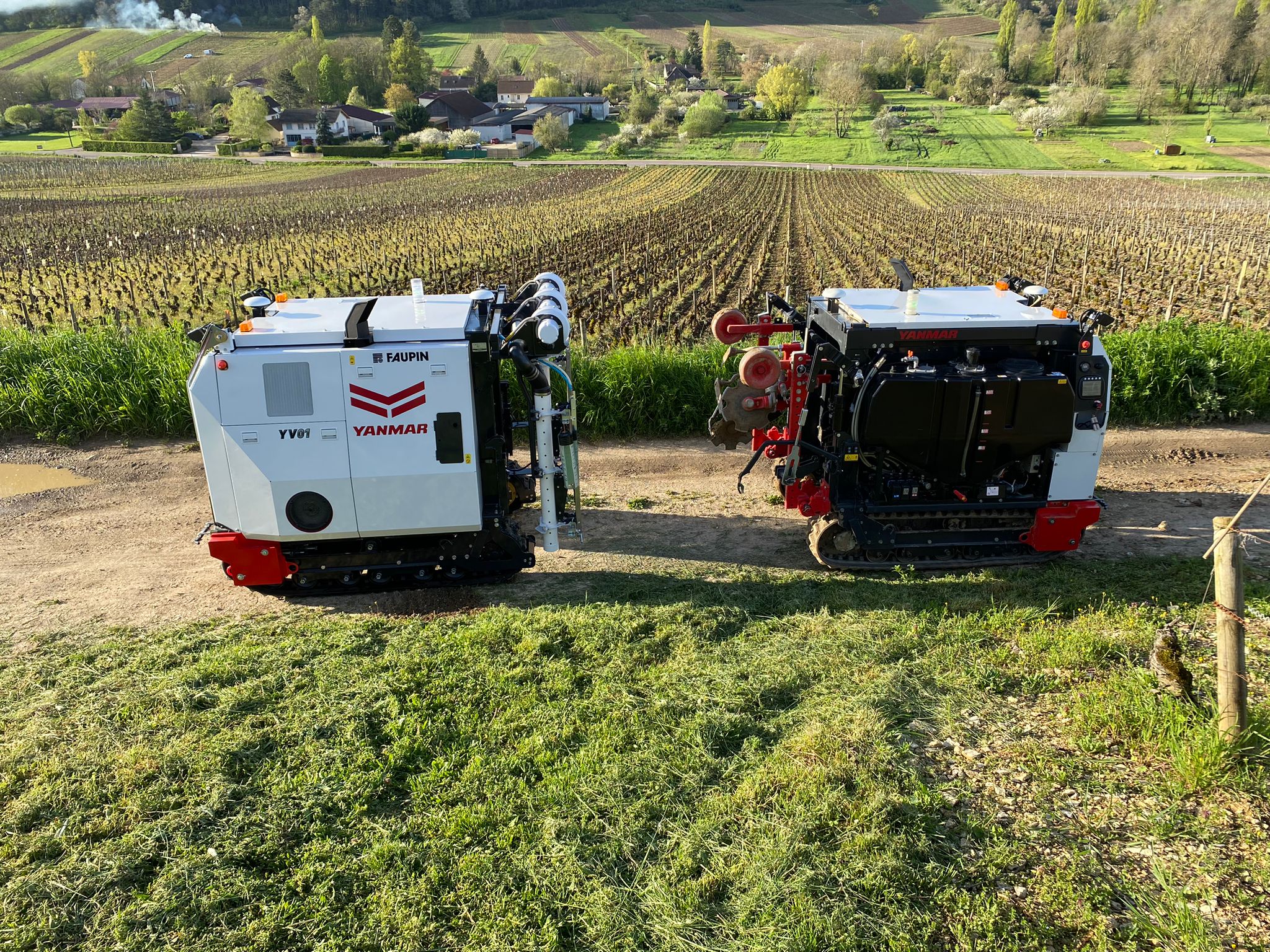Partnership Between Yanmar Vineyard Solutions and Moët & Chandon