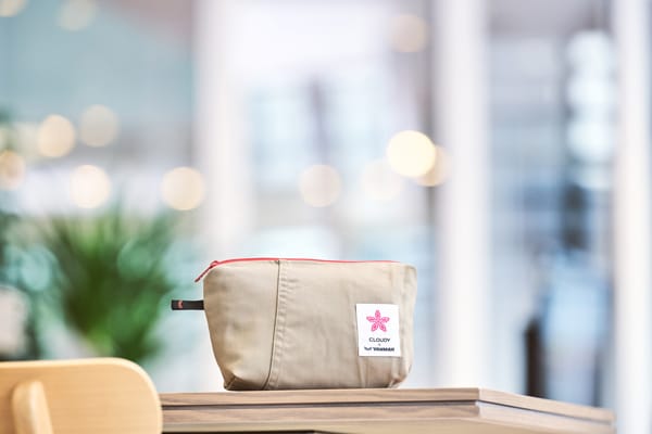 CLOUDYとヤンマーのコラボによるポーチ