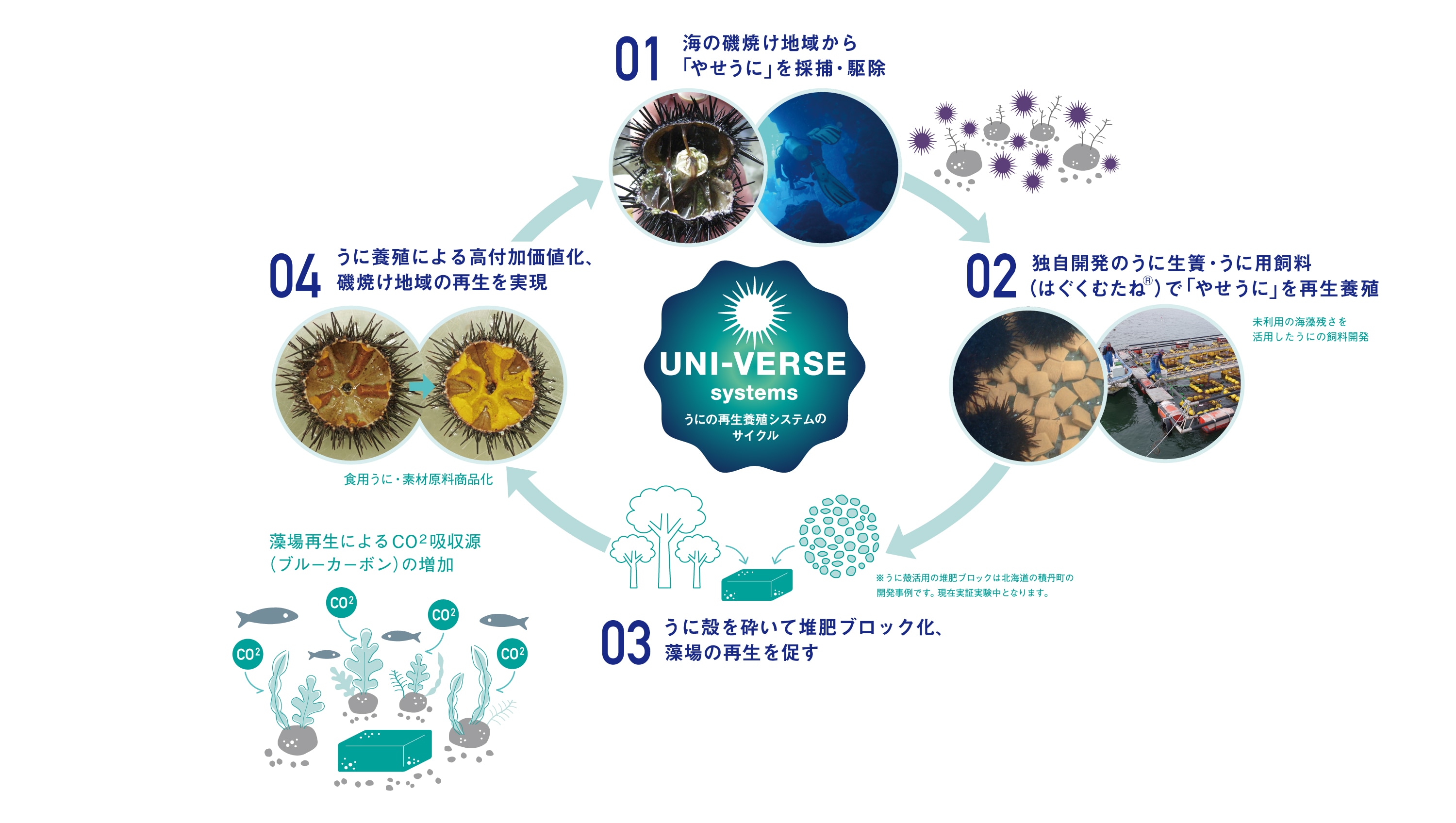 北三陸ファクトリーとヤンマーホールディングスが「ウニの大規模陸上