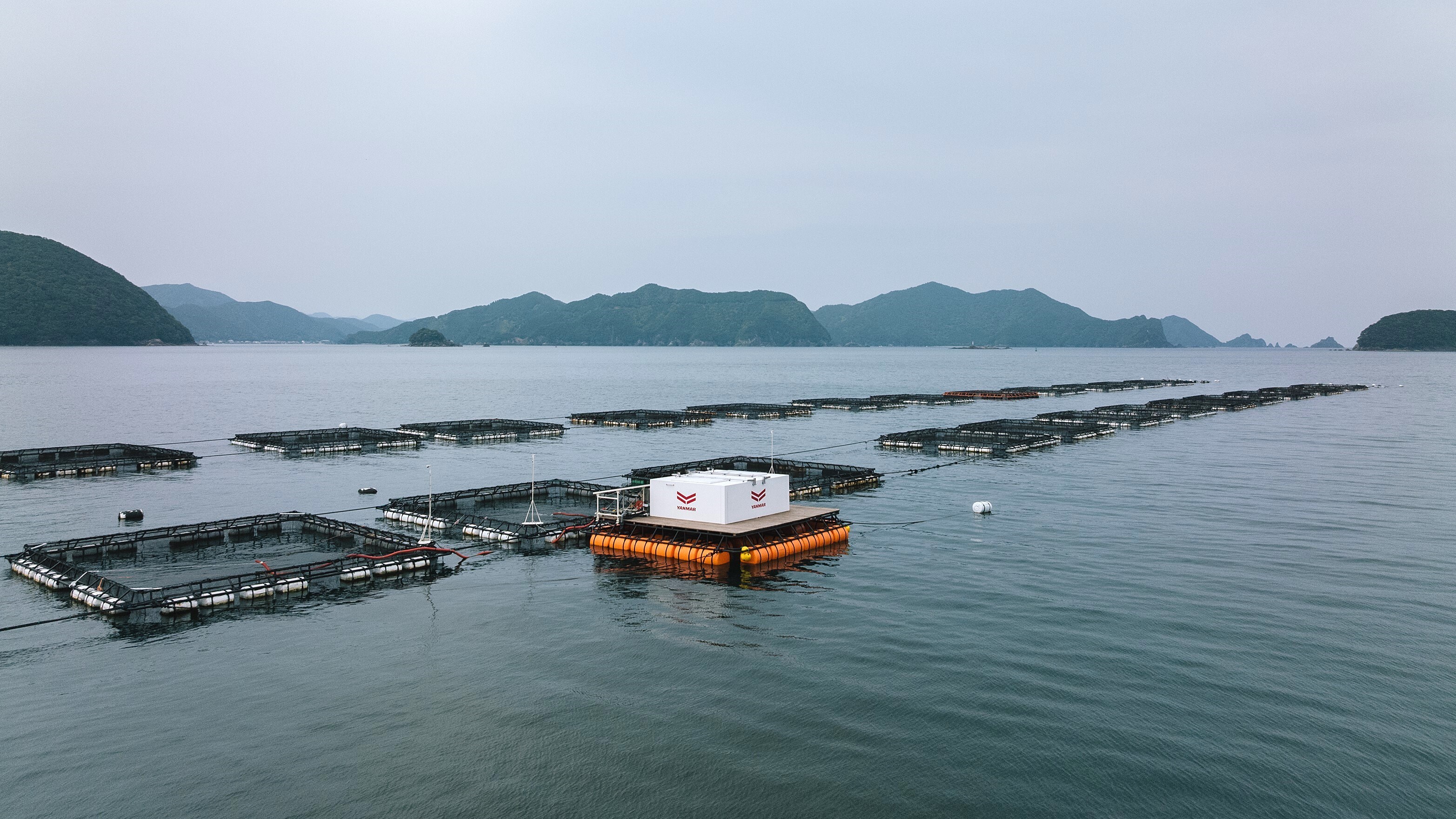 サステナブルな水産業の実現を目指す遠隔自動給餌システムの共同実証