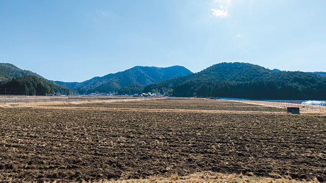 株式会社Ryoの水稲用ほ場。隣町でも受託栽培を行っており、将来的には100ha規模の営農を目指し、地域の農地を守っていきたいという。