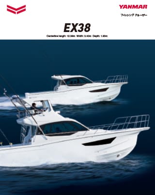 EX38