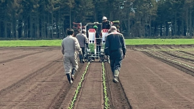 乗用全自動野菜移植機「PW200R」開発モニター機実演時の写真。上村さんは試乗した際、直進アシストや最大28枚※の野菜トレイが積載できるといった機能性に期待を感じた他、作業負担の軽減を実感し、購入に至った。 ※追加予備苗台(オプション)装着時