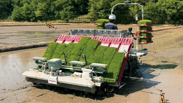 2026年5月、田植え作業の様子。